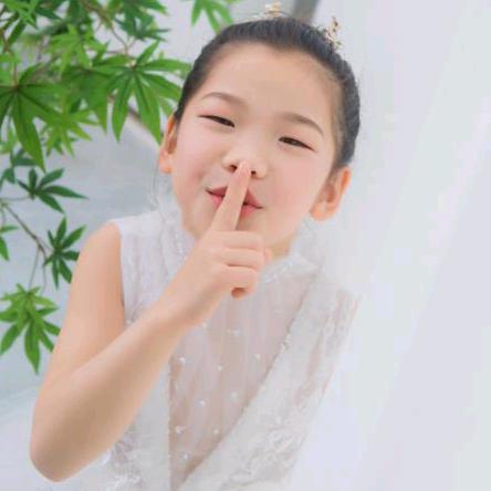 停留的蝴蝶。