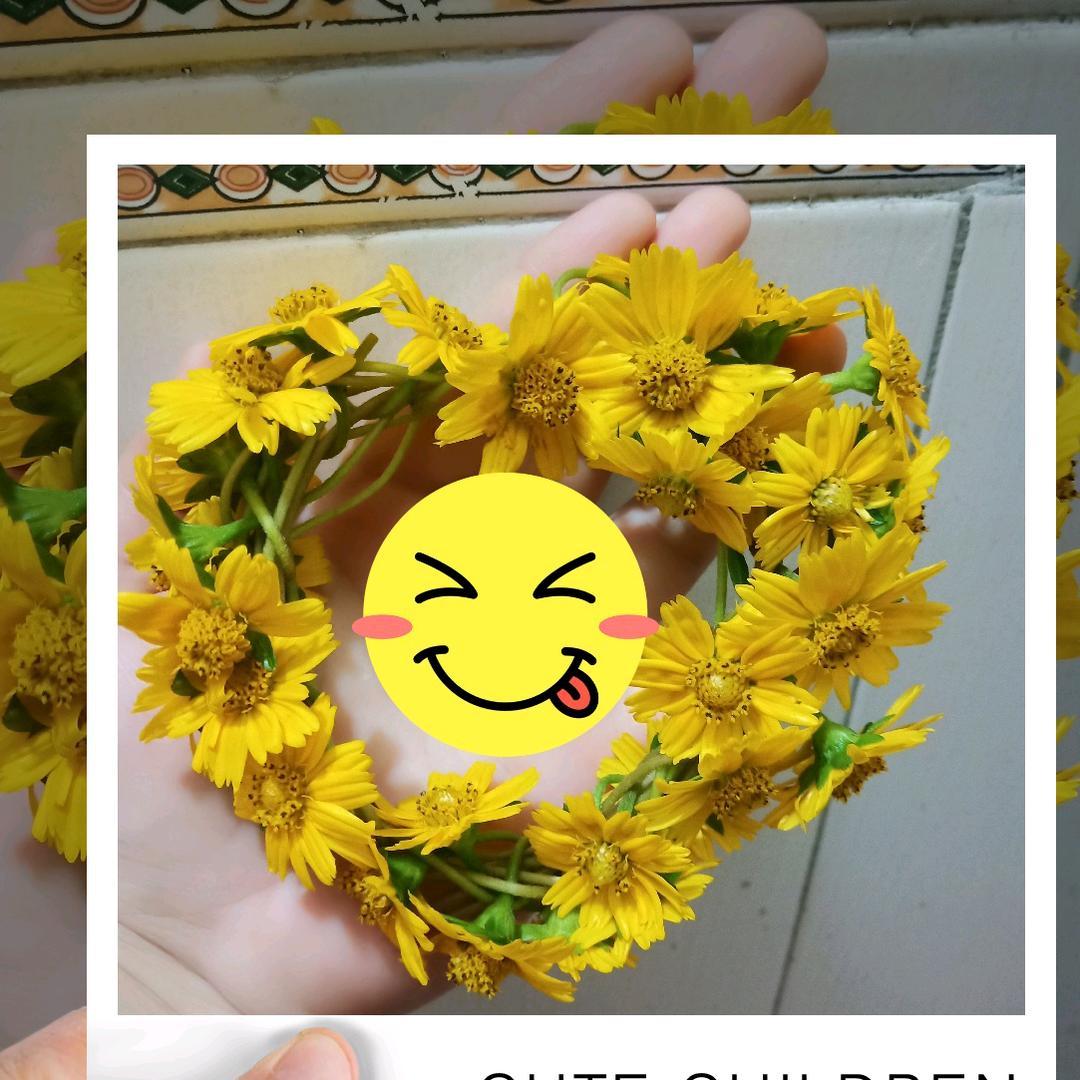 杨咩咩