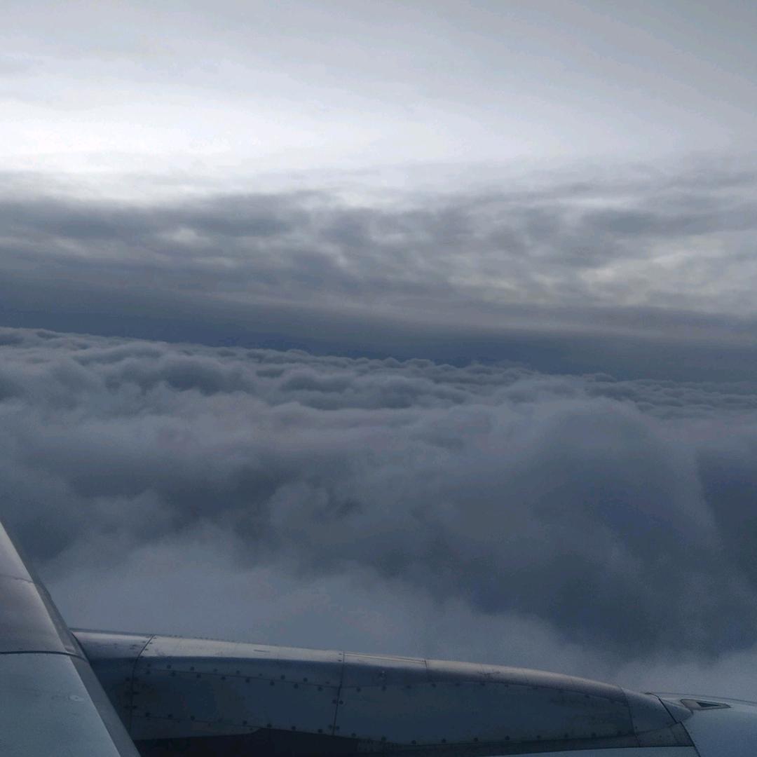 好马不吃回头草