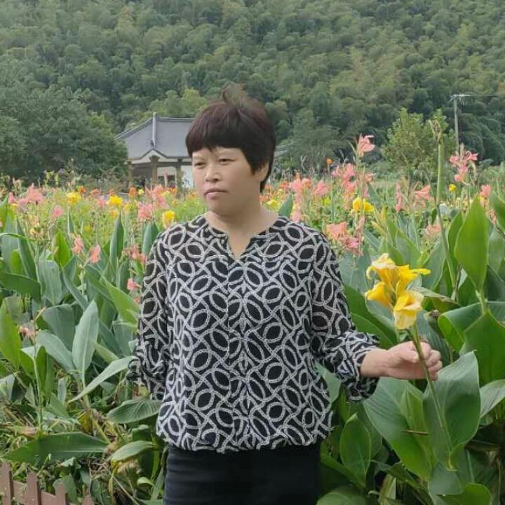 花好月圓