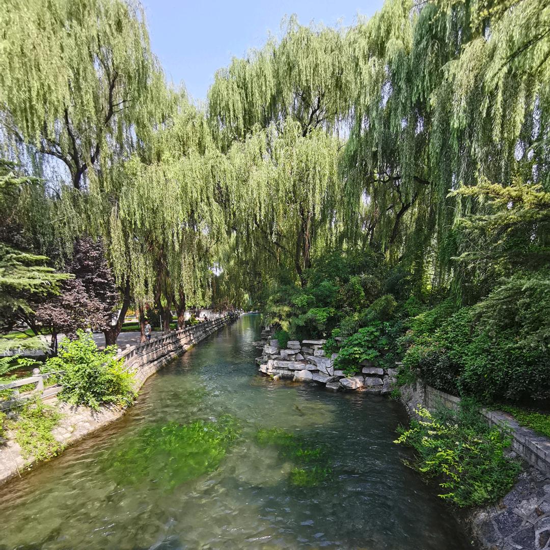 短发飘飘不及腰