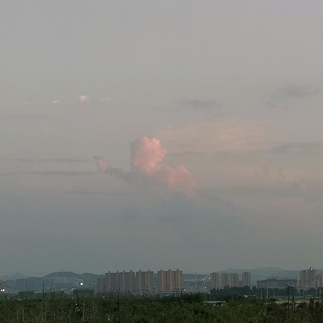 人生能领悟到什么？？？
