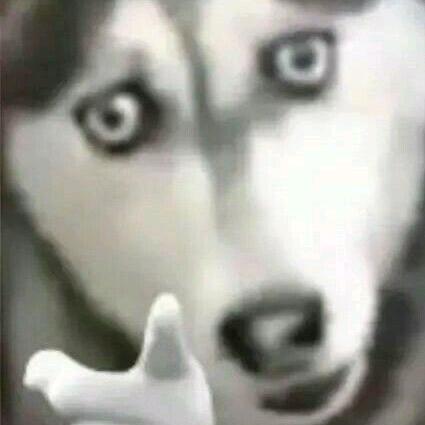 🌈火鸡味锅叭_