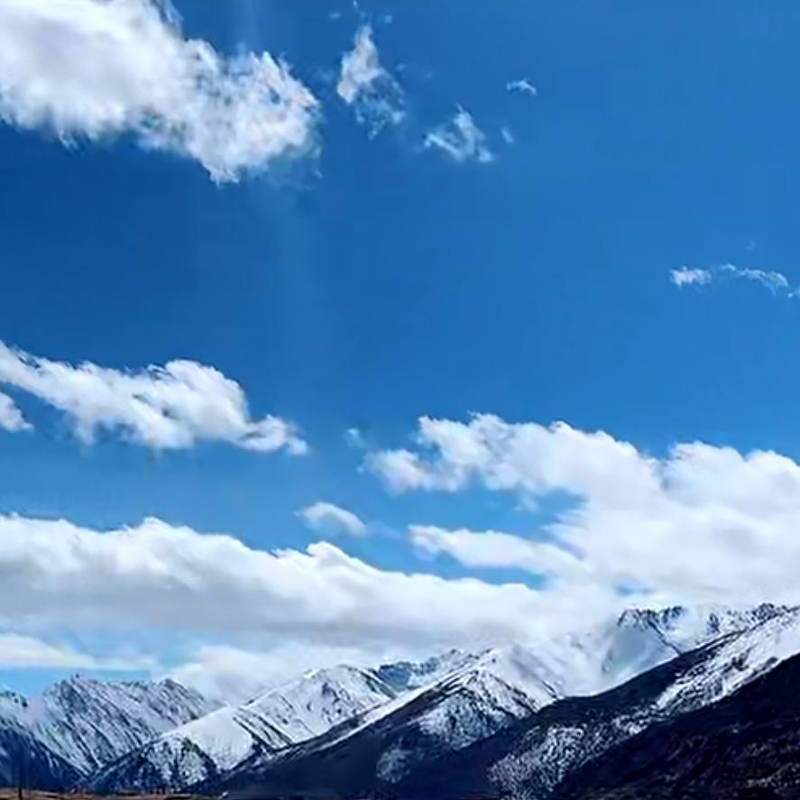 霸道、是姐的个悻