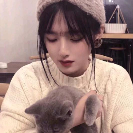晚风吟.