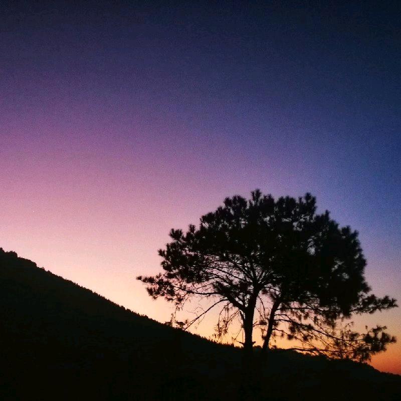 蜂富人生（用心记录生活）