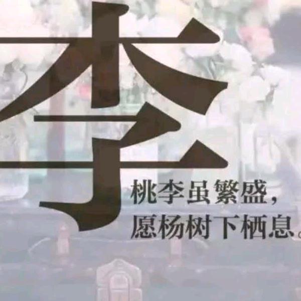 遇见你，圆了梦，李振