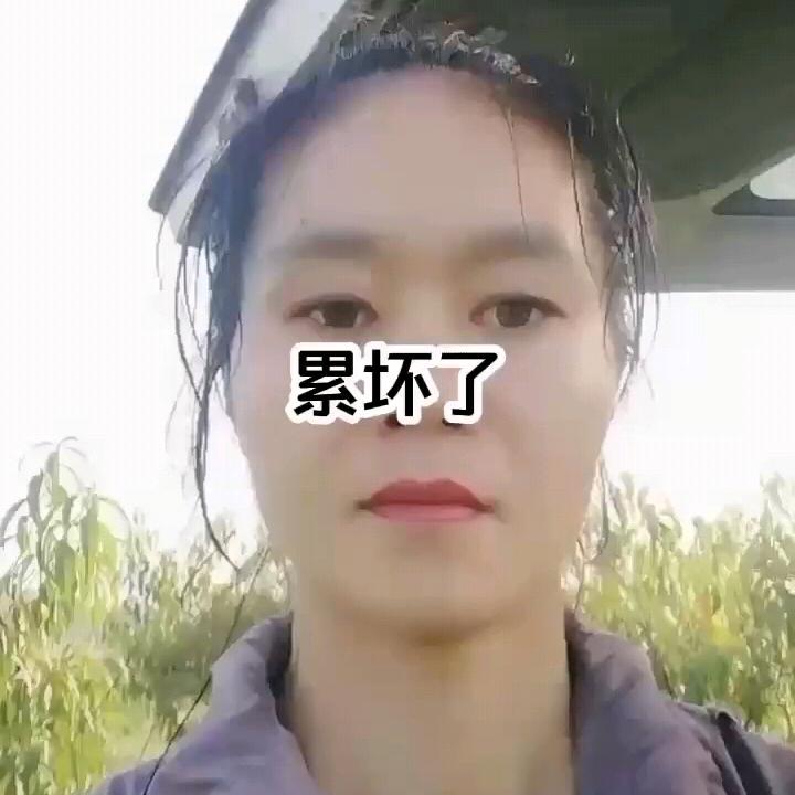 农村黑妹