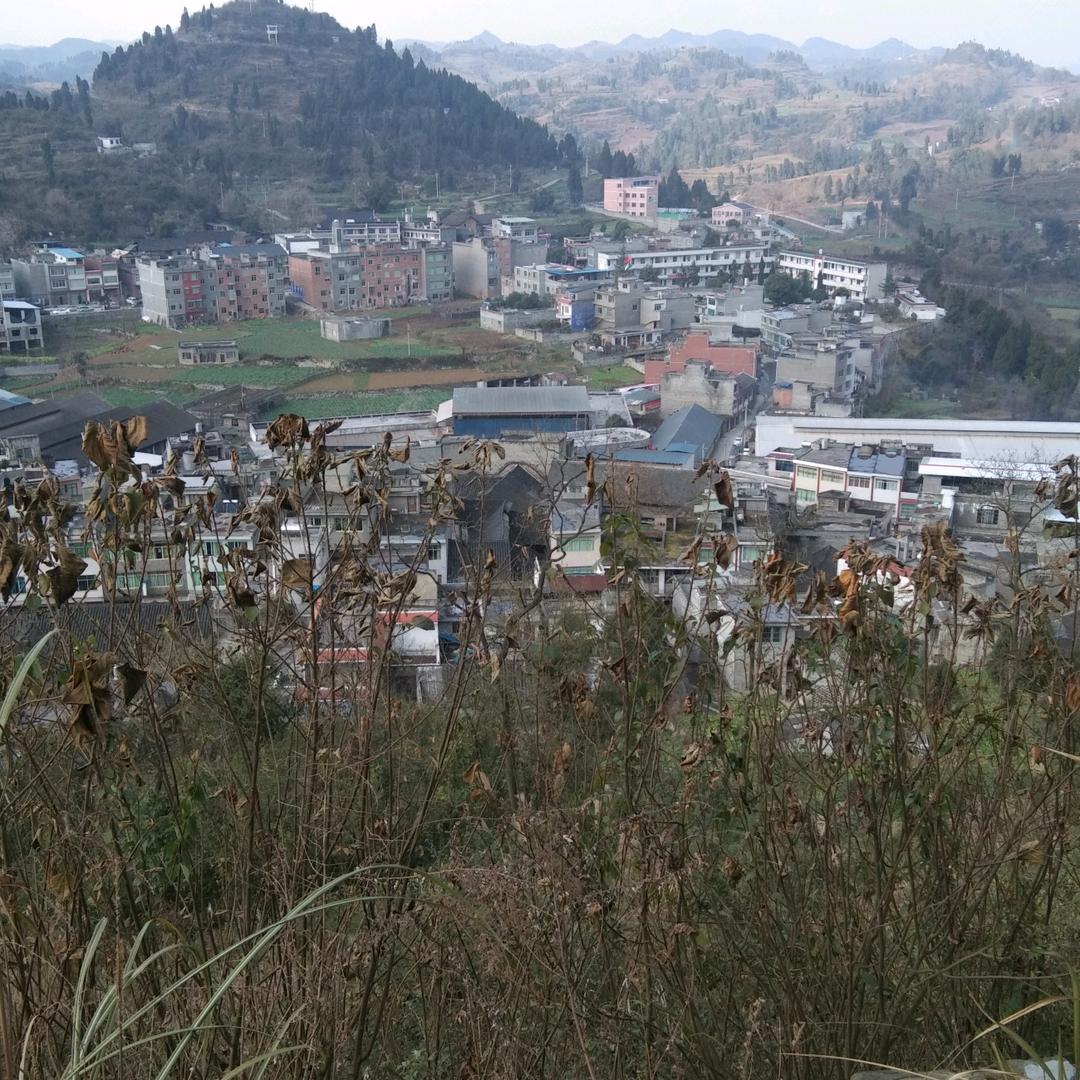 苦恼的人生啊彬