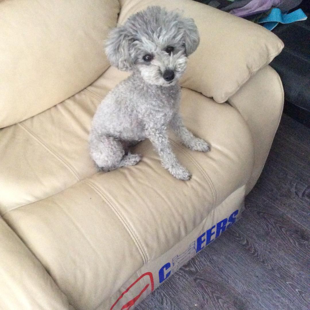 扣扣空间