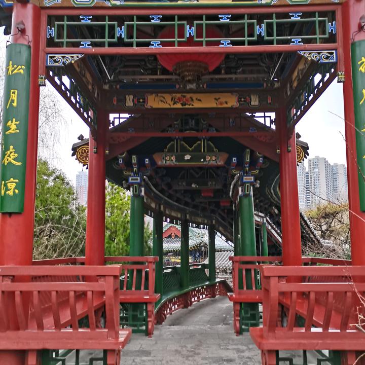 原野