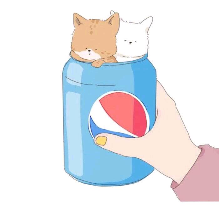 小可乐超爱玩