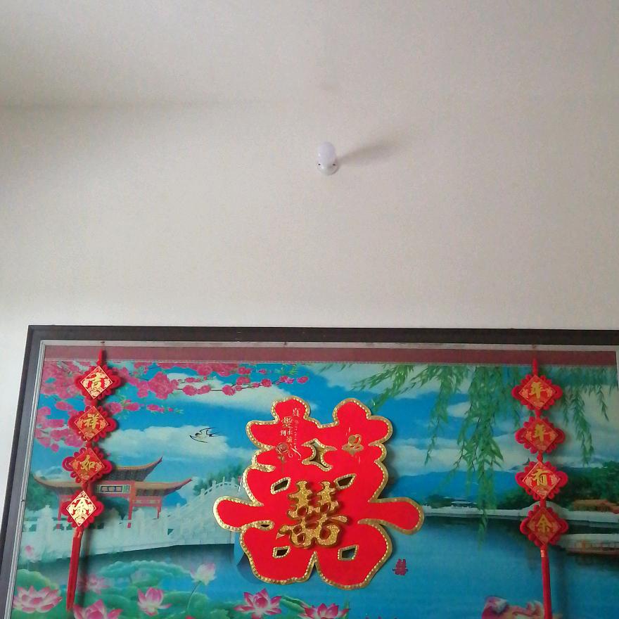 顺其自然01