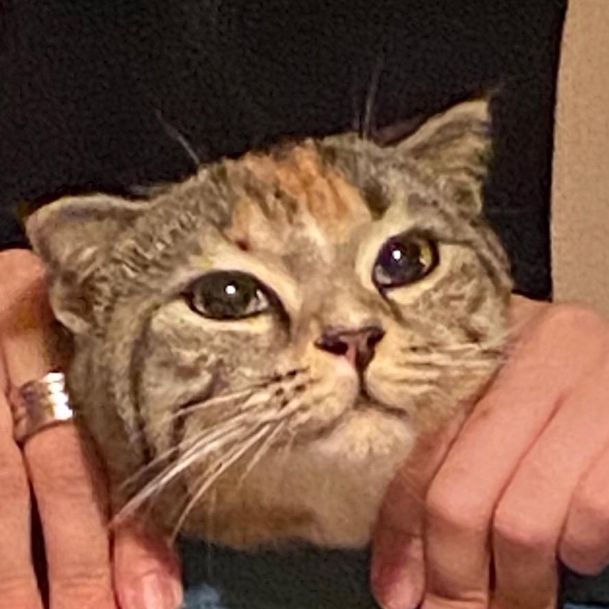 99有个绝世美貌妈妈