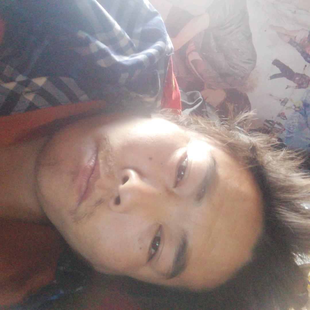 李卫红