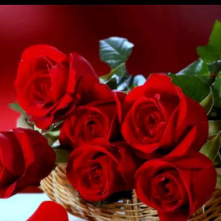 花为我而美丽，我为花而陶醉，