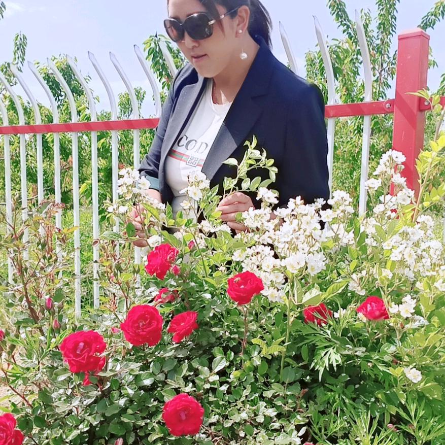 雪儿（拒私聊）