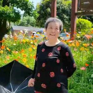 心若兰（胡新兰丿