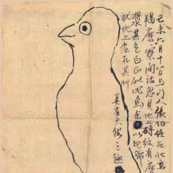 空调的珠颈斑鸠