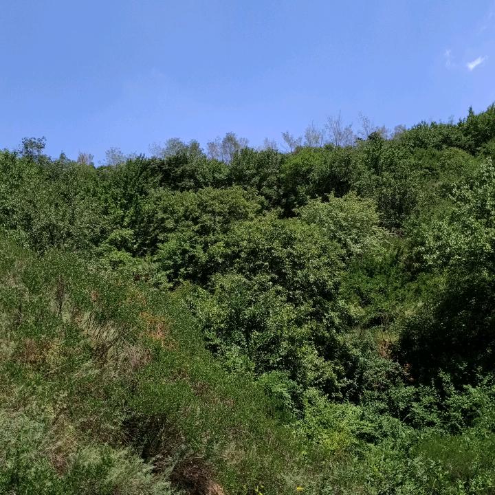 用户3906978644064