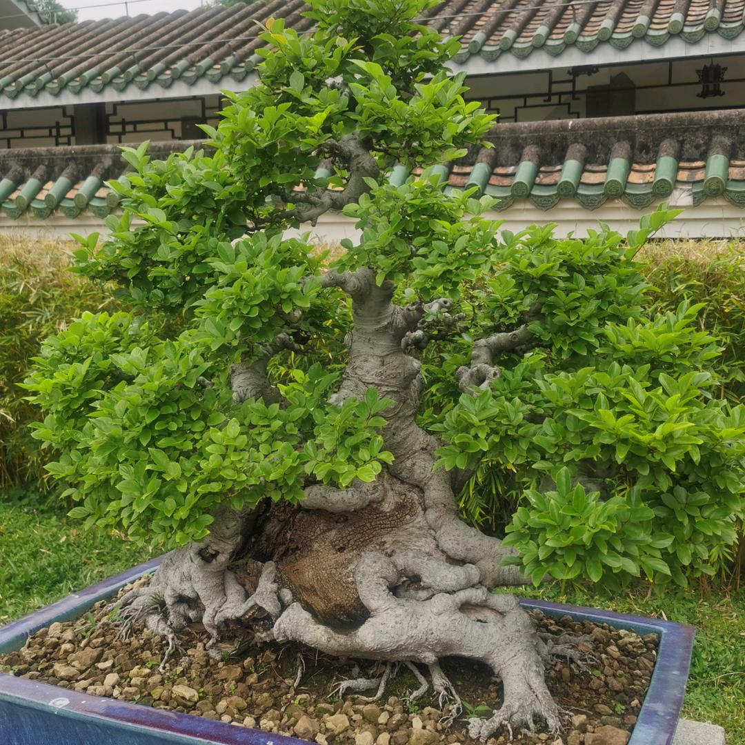 高枕無忧