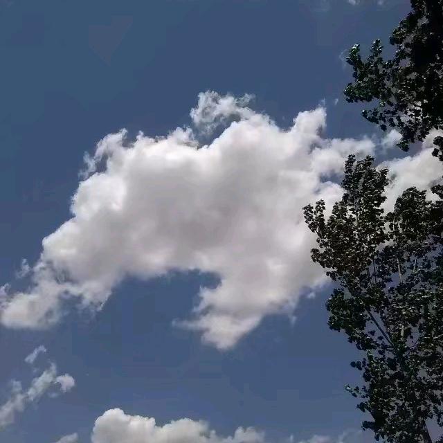 亚林庵烧烤