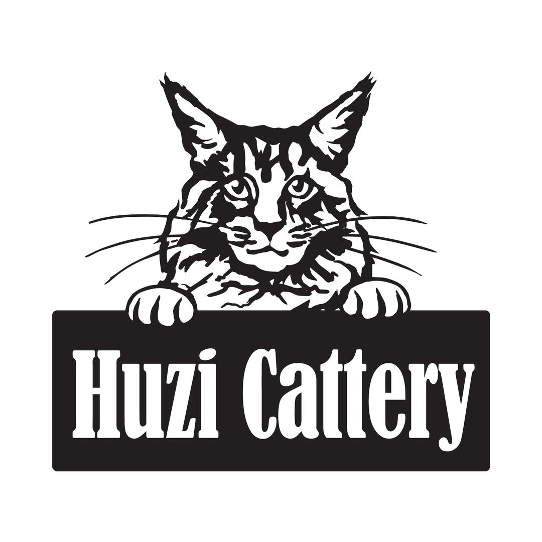 中猫会-HUZI CATTERY