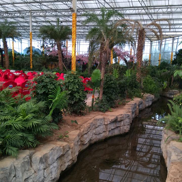 平平淡淡才是真……