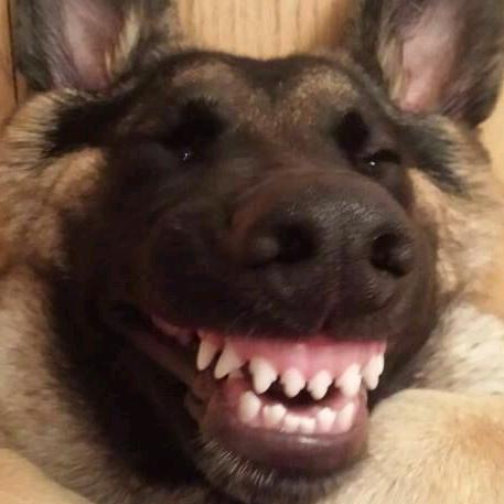 🤵锴东👩‍💼