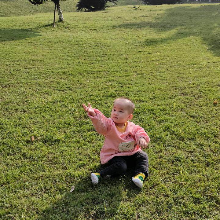 小茅台