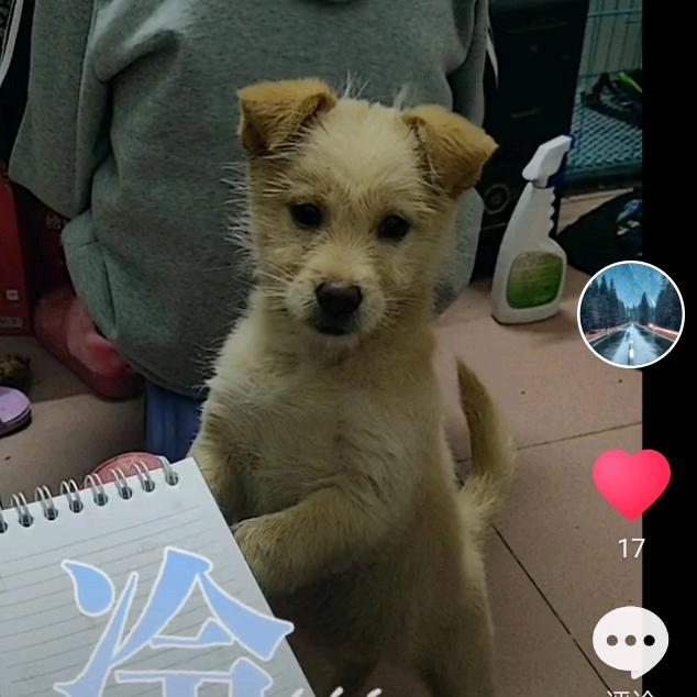 农村人     川