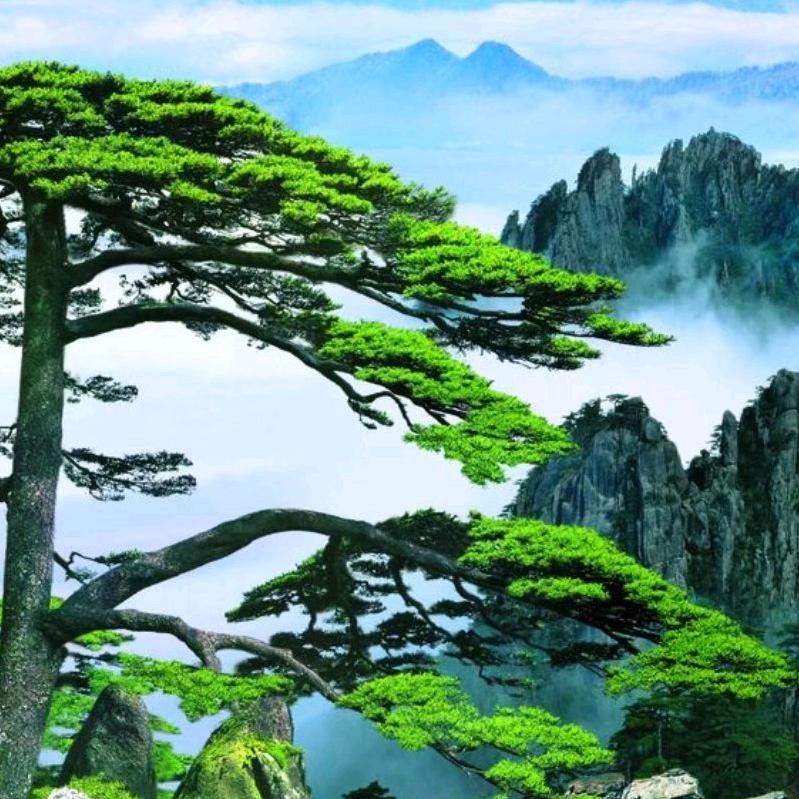 我是做养生的，美容，化妆品，需要的关注我