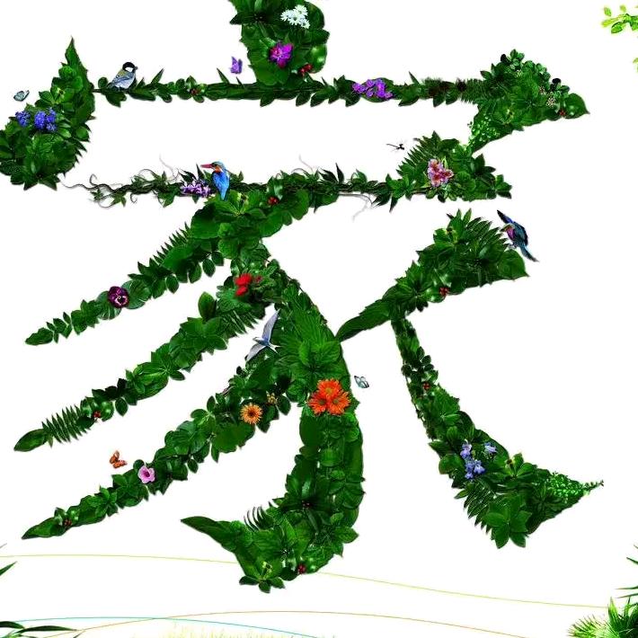 想要辉煌靠自己拼搏