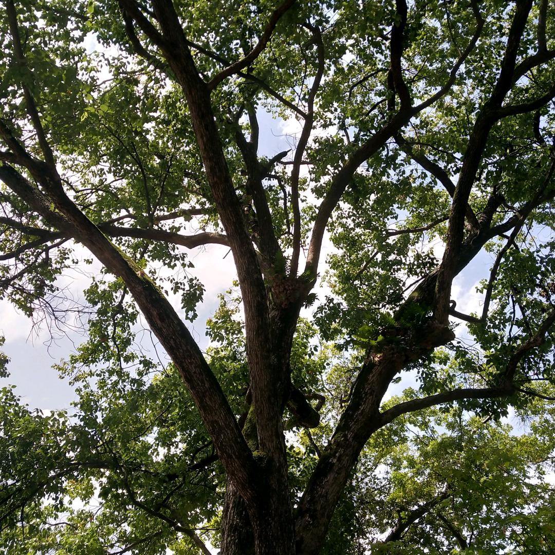 点烟 抽寂寞