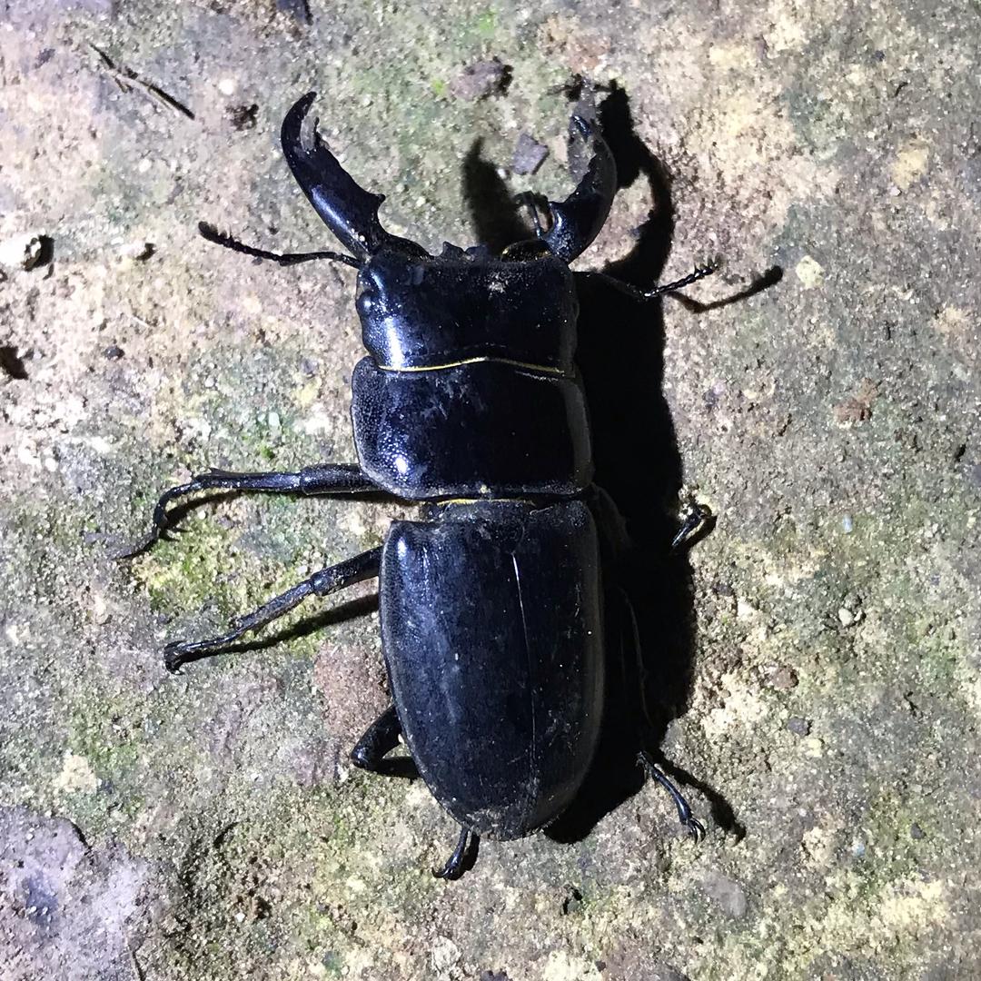 🌈一壶饮尽过往