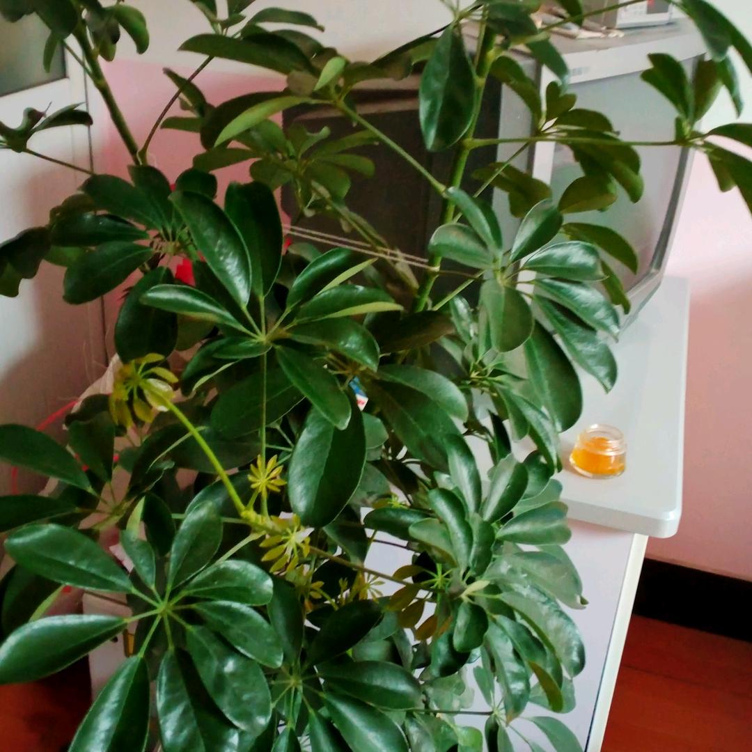 会说话造就好人生