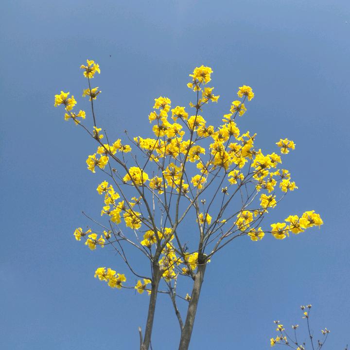 7天24小时全年无休