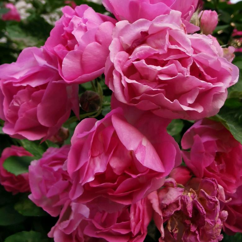 用户9687平凡人生