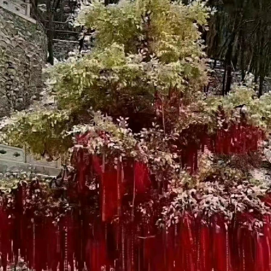 我为你擦干眼泪。