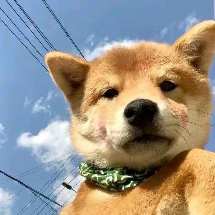阿大看剧
