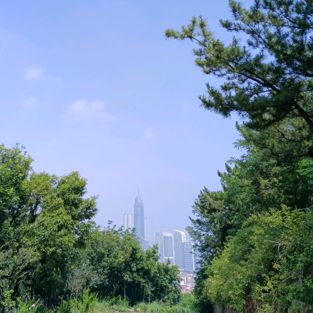悟一