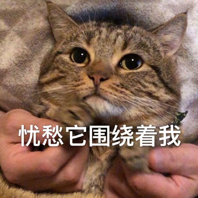 余影袅袅