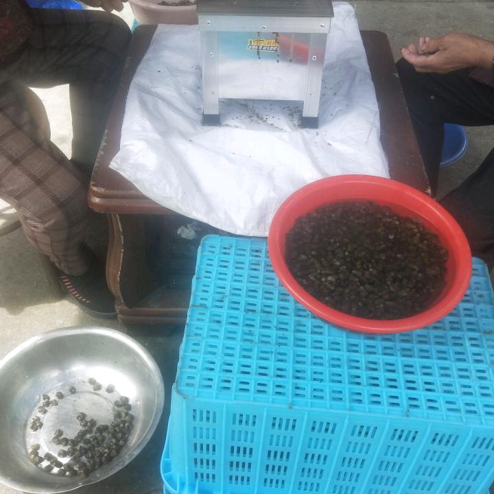 钱星生