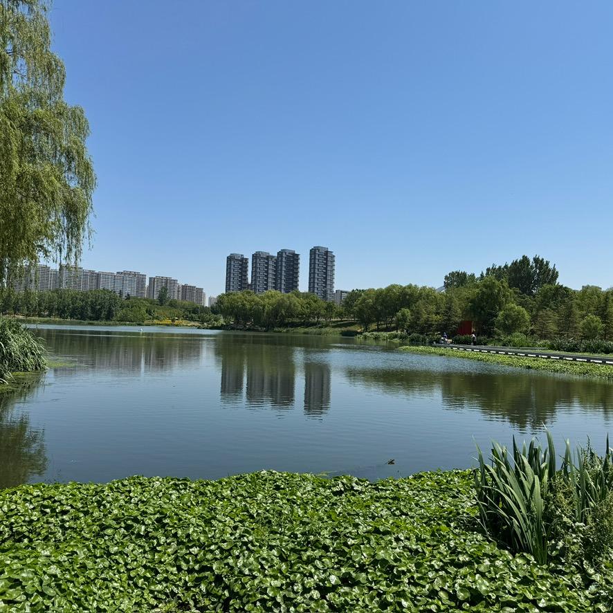 你的作品就是你自己