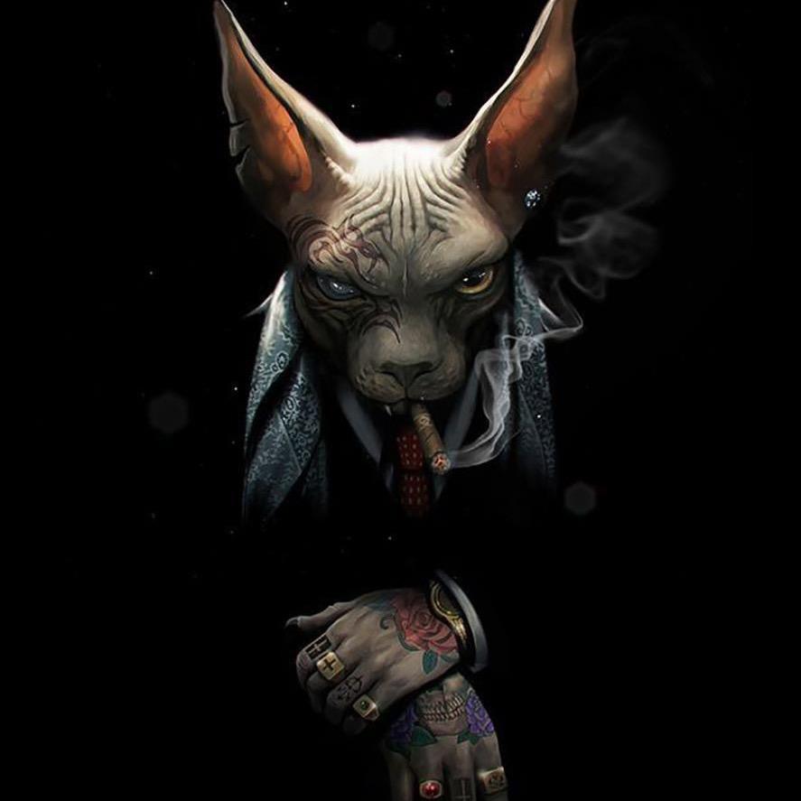 不用清扬帅过C罗