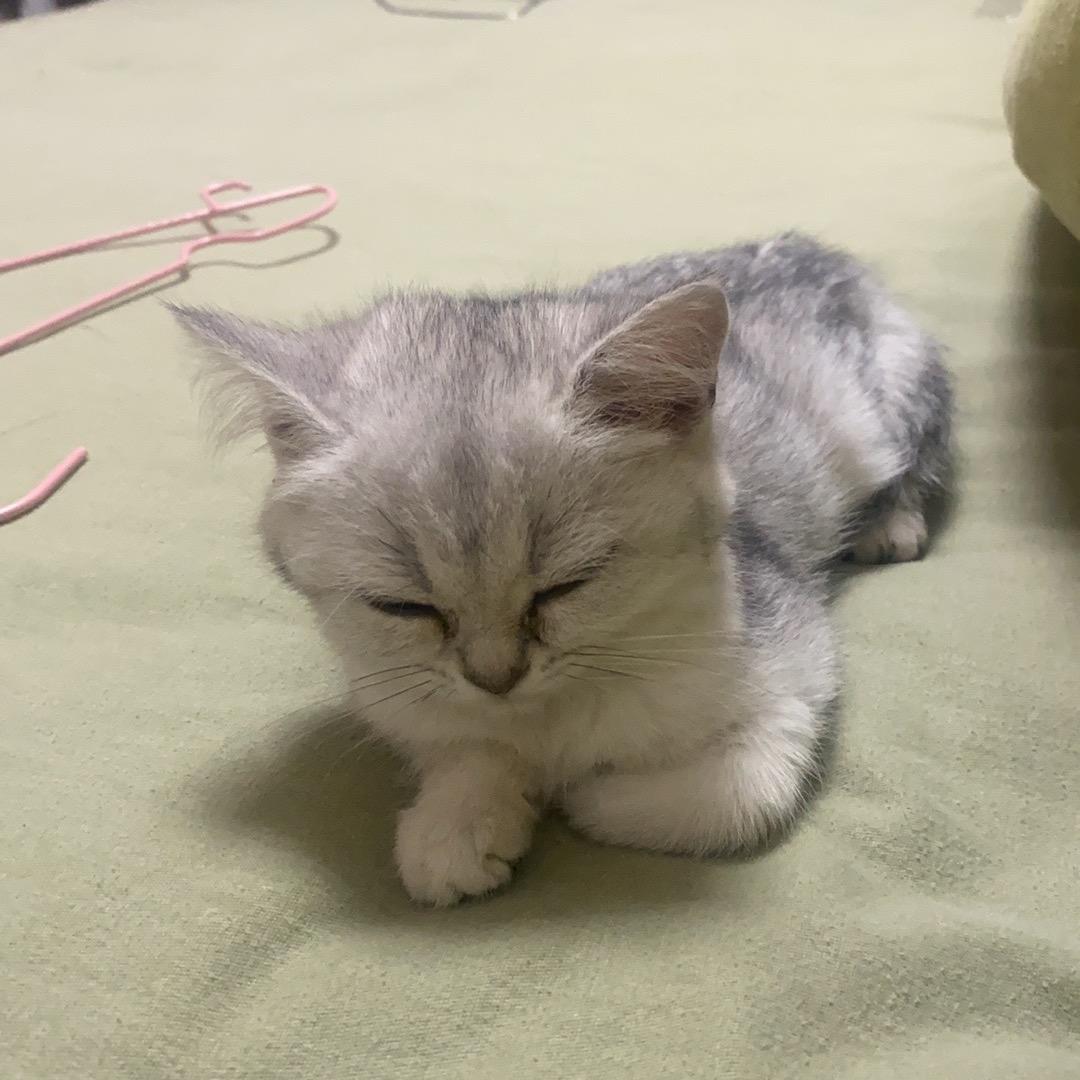 飘飘8