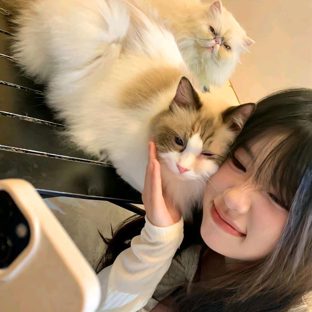 宝呀宝儿