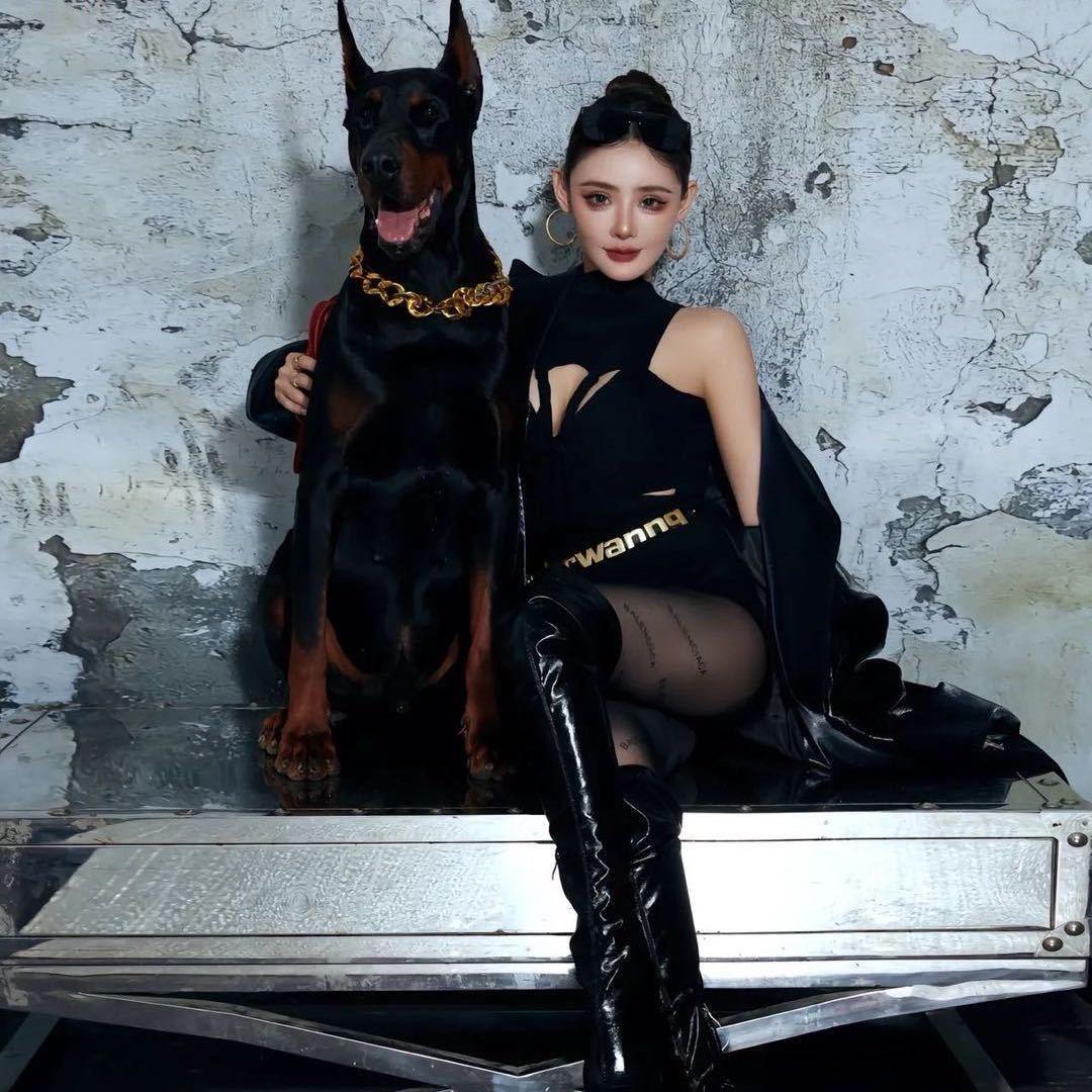 A护卫犬繁育基地🏆