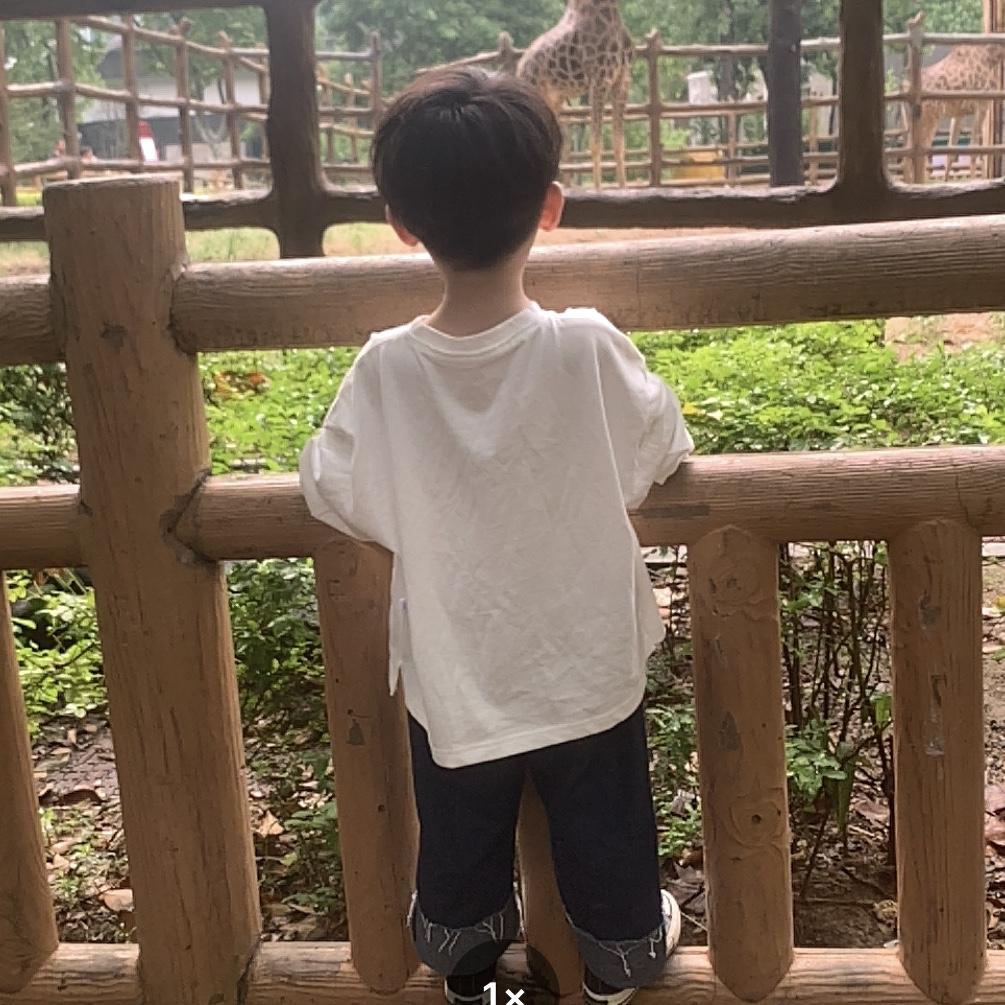 奶油宝贝