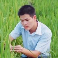 BoZai游记